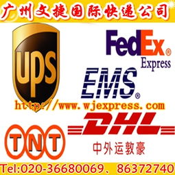 一站式指南 國際快遞查詢、公司選擇與廣州貨物進出口全解析